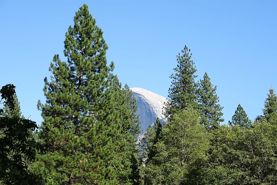 půl kopule, Yosemitský národní park, yosemitu, národní park, Skalní formace, žula, scénický, krajina, hora, Příroda, Kalifornie