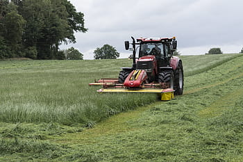 Červené, traktor sekání travnaté hřiště, během dne, sekání trávy, traktor, farmáři, kosit, senoseč, zemědělec, zemědělský, seno