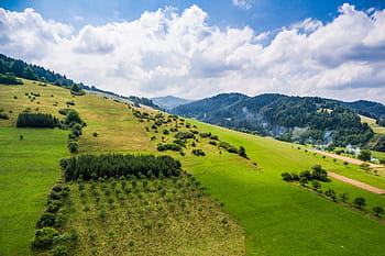 kopce scenérie, zelená, tráva, Báječné, kopců, scenérie, zelená tráva, stromy, mraky, čerstvý vzduch, hory