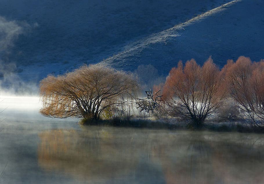 Frosty, Twizel, NZ, body of water, leafed, trees