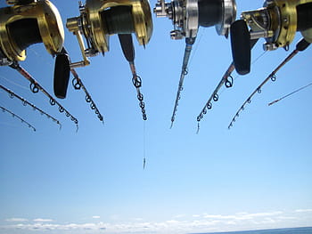 pêche, mer profonde, des cannes à pêche, poisson, Marin, sport, bobine, ciel, pêcheur, équipement, barre
