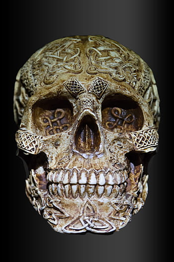 beige, engrave, skull decor, skull and crossbones, celts, celtic skull