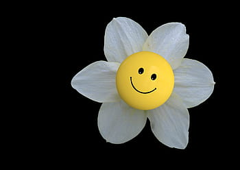 λευκό, πεταλούδα λουλούδι, emoji, closeup, φωτογραφία, άνθος, ανθίζω, λουλούδι, χαμογελαστός, emoticon, χαμόγελο