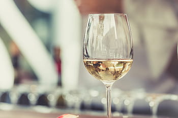 glass white wine, White Wine, glass, white, wine, food, wineglass, alcohol, drinking Glass, table, restaurant