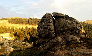 hnědý, skály, stromy, během dne, šedá, balvan, hora, Skála, útes, rostlina, krajina