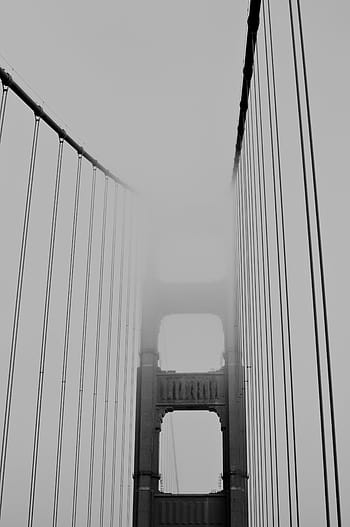 fotografie ve stupních šedi, zlatý, hradlový most, San Francisco, Kalifornie, Šedá, suspenze, Golden Gate Bridge, architektura, mlha, Černý a bílý