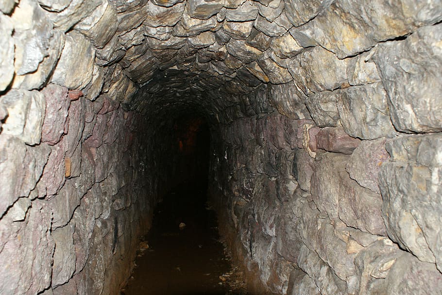fotografie, prázdný, tunel, mysticismus, světlo, zvláštní, strašidelný, temný, děsivý, Pozadí, strom
