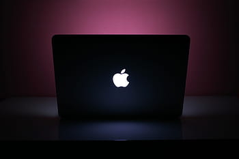macbook, pro, MacBook Pro, Merah Muda, Malam, gelap, laptop, teknologi, dinding, kerja, komputer