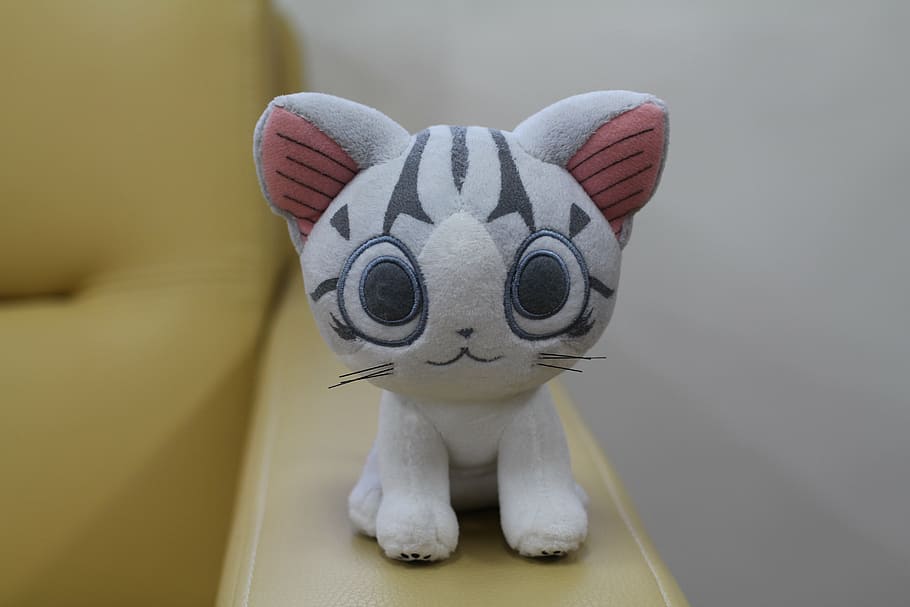 closeup, gray, white, cat, plush, toy, cheese sweet home, doll, cute