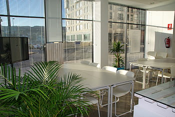 rektangulære, hvit, bord, stol, sett, kontorplass, kontor, solfylt, coworking, møte, møterom