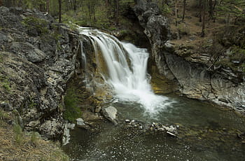 cascada, bosque, corriente, Árboles, naturaleza, río, agua, paisaje, Rocas, chapoteo, ambiente