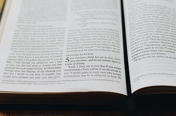detailní, fotografování, stránky knihy, rezervovat, bible, čtení, náboženství, duchovno, křesťanství, modlí se