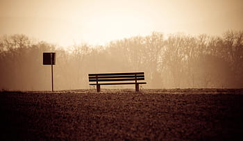 black, bench, woods, bank, stop, nature, field, lonely, alone, melancholic, taxi