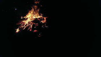 lighted bonfire, dark, night, fire, flame, bonfire, hot, light, firewood, burning, heat - temperature