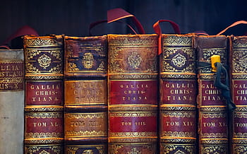 hromada, hardbound, rezervovat, knih, antický, staré knihy, zavřít, starý, použitý, číst, starožitný