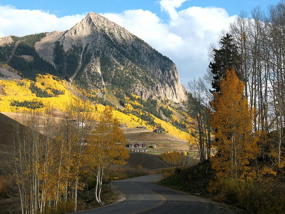chocholatý butte, colorado, hora, podzim, Příroda, silnice, krajina, scén, venku, strom, žlutá