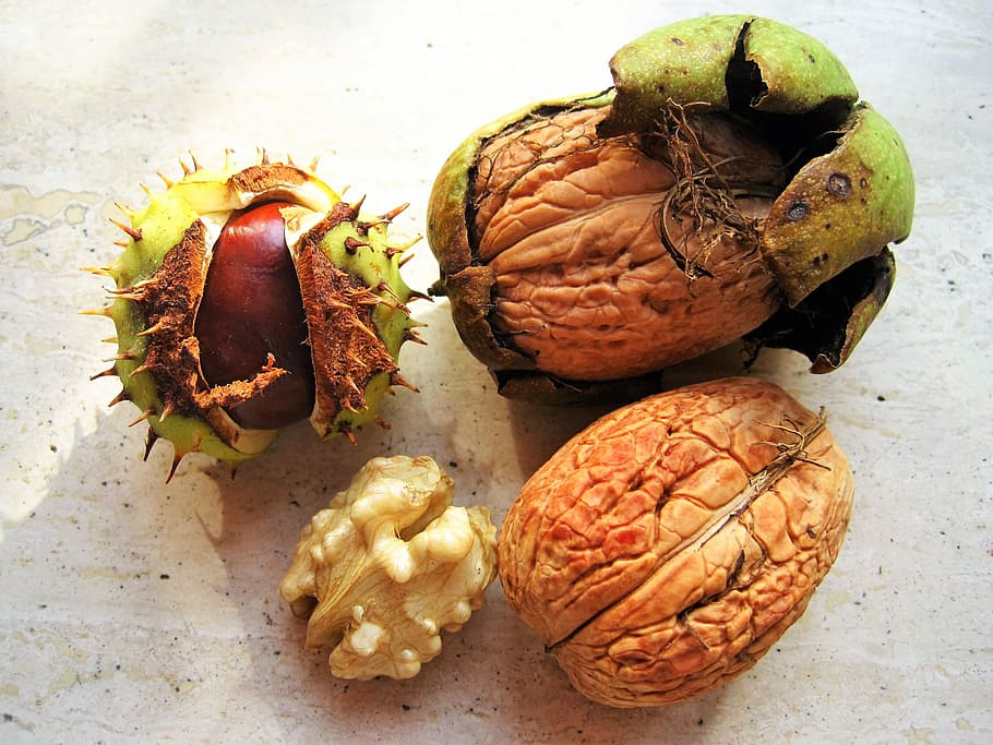 Kaštan, vlašské ořechy, v misce, podzimní ovoce, podzim, roční období, ořechy, ovoce, shell, hnědý, pichlavý