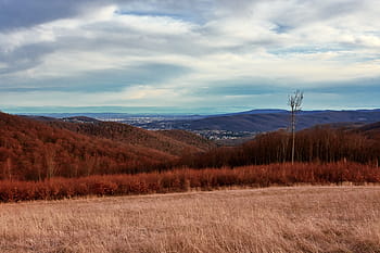 krajinářské fotografie, pole pšenice, Příroda, krajina, nebe, venkovský, zemědělství, scénický, louka, pole, podzim