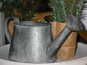 kropící konev, gartendeko, deco, dekorace, stálý život, zahradní dekorace, zahrada, zahradní design, stolní dekorace, hrnec, rozmarýn