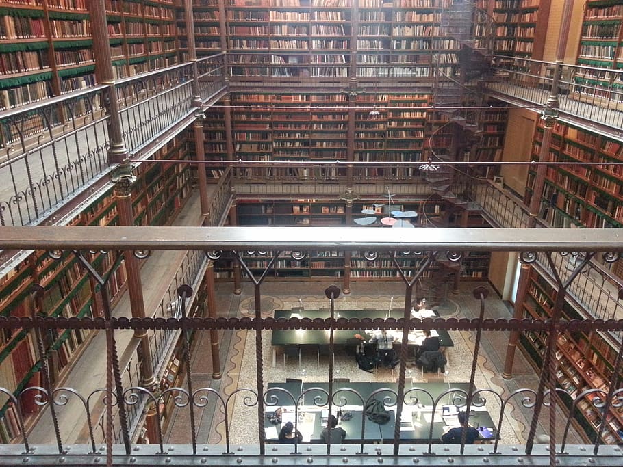 knihovna, knih, rijksmuseum, amsterdam, muzeum, Nizozemí, budova, Zajímavosti, architektura, muzeum výtvarného umění, umění