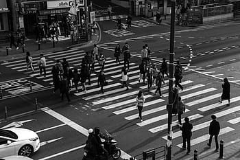 grayscale photography, street, the traffic light, pedestrian crossing, people, crossroads, noryangjin, set, student, crossing, busy