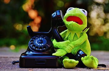 kermit, frog, hugging, telephone, phone, figure, funny, frogs, animal, plush, stuffed animal
