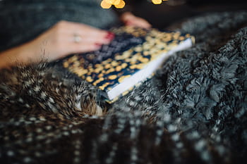 mulher, casa, livro, leitura, interior, feminino, aconchegante, luzes de fadas, Jovem, Hygge, bebendo