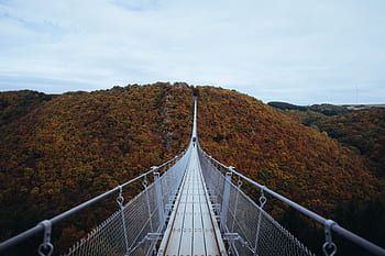산, 고지, 산등성이, 피크, 정상 회담, 나무, 식물, 자연, 경치, 강철, 다리