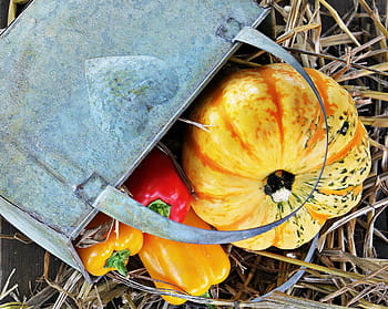 four, assorted-color vegetables, gray, metal basket, thanksgiving, pumpkin, paprika, autumn, autumn decoration, decoration, colorful