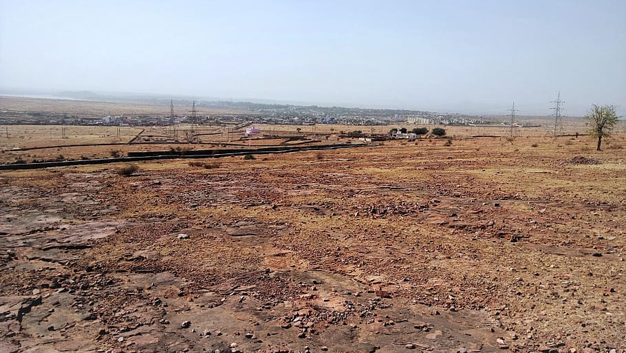 green, bare, tree, daytime, india, desert, barren land, city in background, dry soil