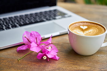 pink, bougainvillea flower, cup, coffee, silver laptop computer, brown, wooden, table, cafe, food, drink