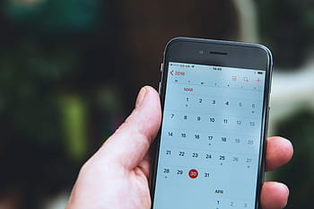 checking, calendar app, mobile, smartphone, Man, calendar, app, iPhone, technology, business, phone