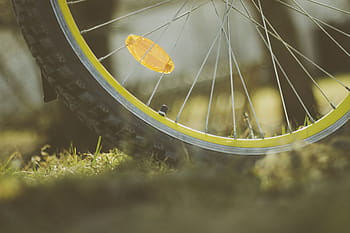 zwart, fietsband, gras, Ondiep, focus fotografie, wiel, fiets, buitenshuis, reizen, vervagen, selectieve aandacht