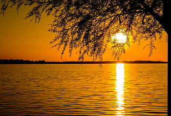 Foto, træ, legeme, vand, gylden, time, silhuet, billede, bjerg, bakke, solnedgang