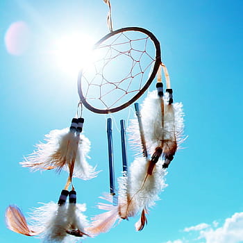 Černá, bílý, peří dreamcatcher, během dne, lapač snů, rodilý Američan, pavoučí síť, Pírko, obruč, síť, web
