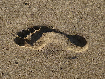 footprint, sand, beach, trace, tracks in the sand, footprints in the sand, sand beach, foot, ten, barefoot, holiday