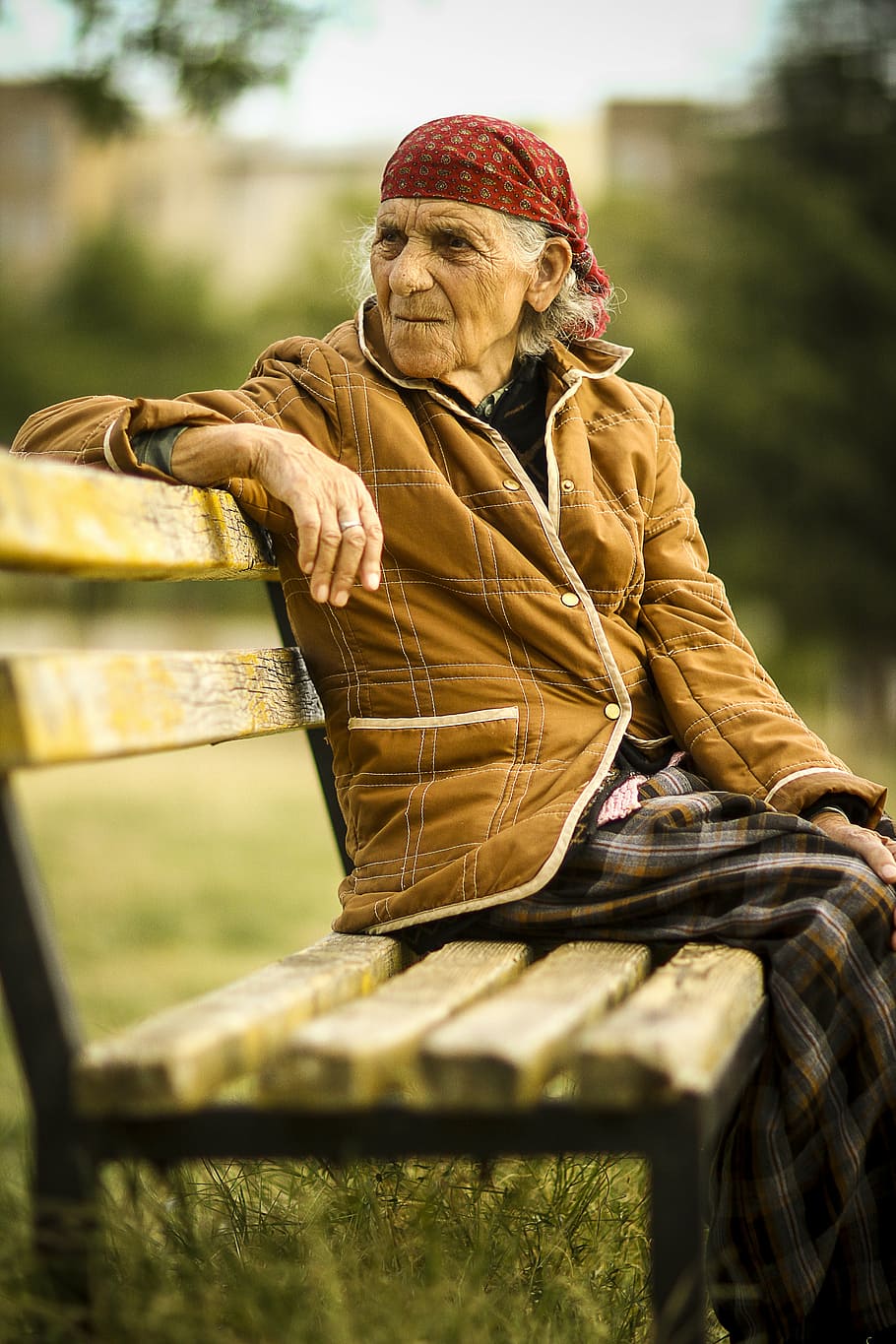 žena, nošení, hnědý, Bunda, sedící, dřevěný, lavice, starší, ženský, senior, starý