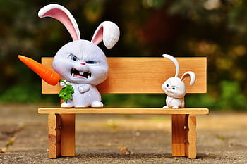 secret, life, pets bunny, standing, brown, wooden, bench, hare, evil, bank, snowball