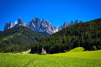 white, house, grass field, forest, val di funes, church, italy, nature, mountains, dolomites, summer