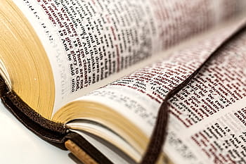 otevřeno, bible, záložka do knihy, otevřená kniha, evangelium, testament, náboženství, náboženský, duchovní, modlitba, modlit se