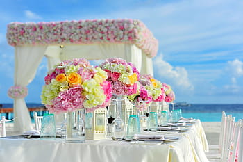 party, setting, body, water, blue, sunny, cloudy, sky, beach, bunch of flowers, celebration