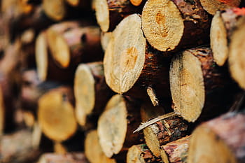dinding batang kayu, Kayu, batang, Dinding, musim gugur, kayu - Bahan, coklat, tumpukan, kayu bakar, Industri kayu, alam