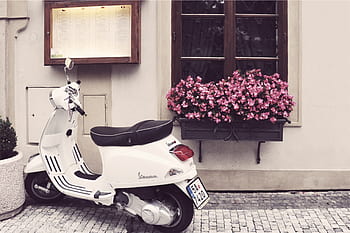 vespa, scooter, moped, cobblestone, flowers, pot