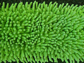 klíště, hromada, zelená, textil, čištění, MOP, tkanina, fransen, rozpočet, čistící mop, čistý