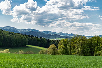 paesaggio, verde, Baselland, Svizzera, collina, campo, panoramico, escursioni a piedi, erba, natura, prato