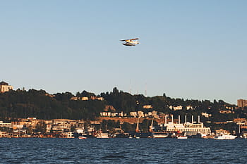 white, concrete, building, water, monoplane, flying, houses, seaplane, buildings, city, town