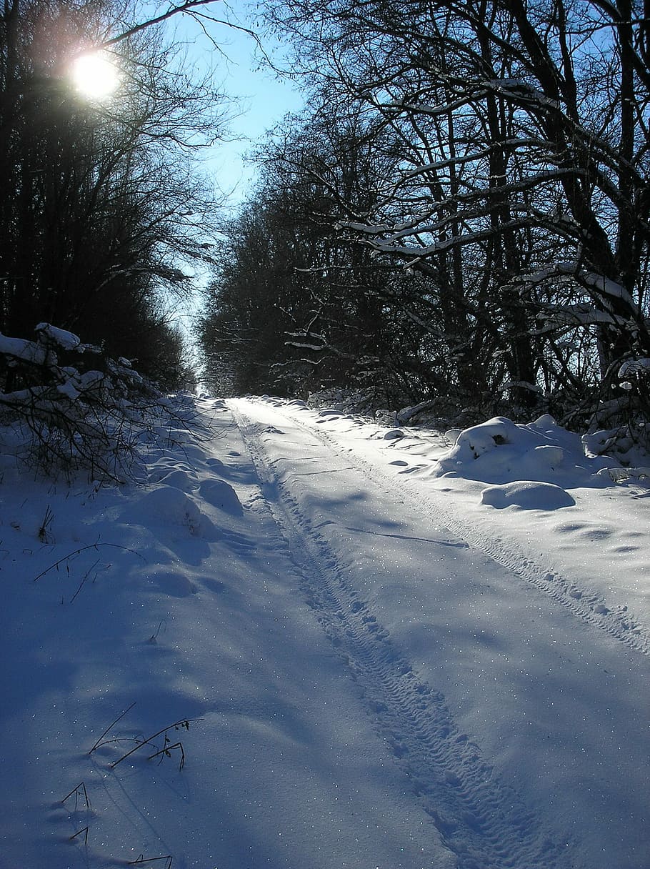zimní, sníh, chladně, led