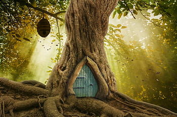 brown, tree, house, beehive, golden, hour, nature, wood, newborn, backdrop, forest