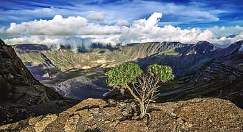 krajina, hora, sopka, hora tambora, obrovský kráter, keře, sumbawa, Indonésie