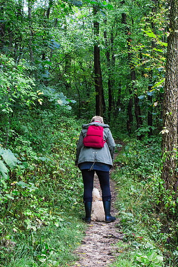 man, dog, walking, across, forest, daytime, women, s, wearing, red, backpack